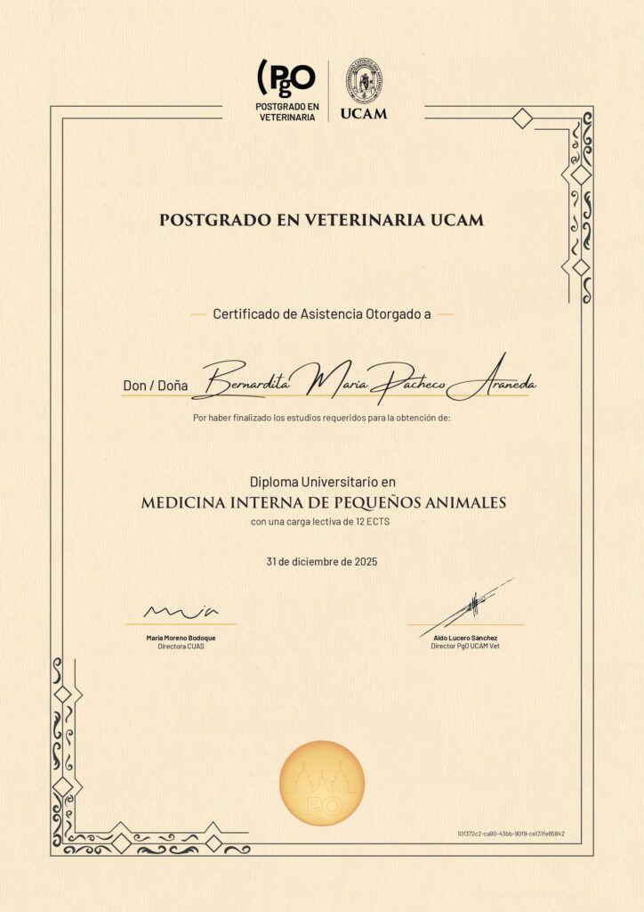 About us diploma postgrado